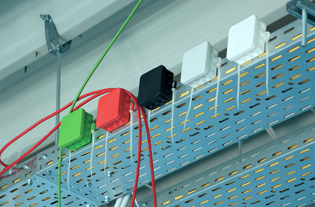 Fot. 5. Rodzina puszek i12