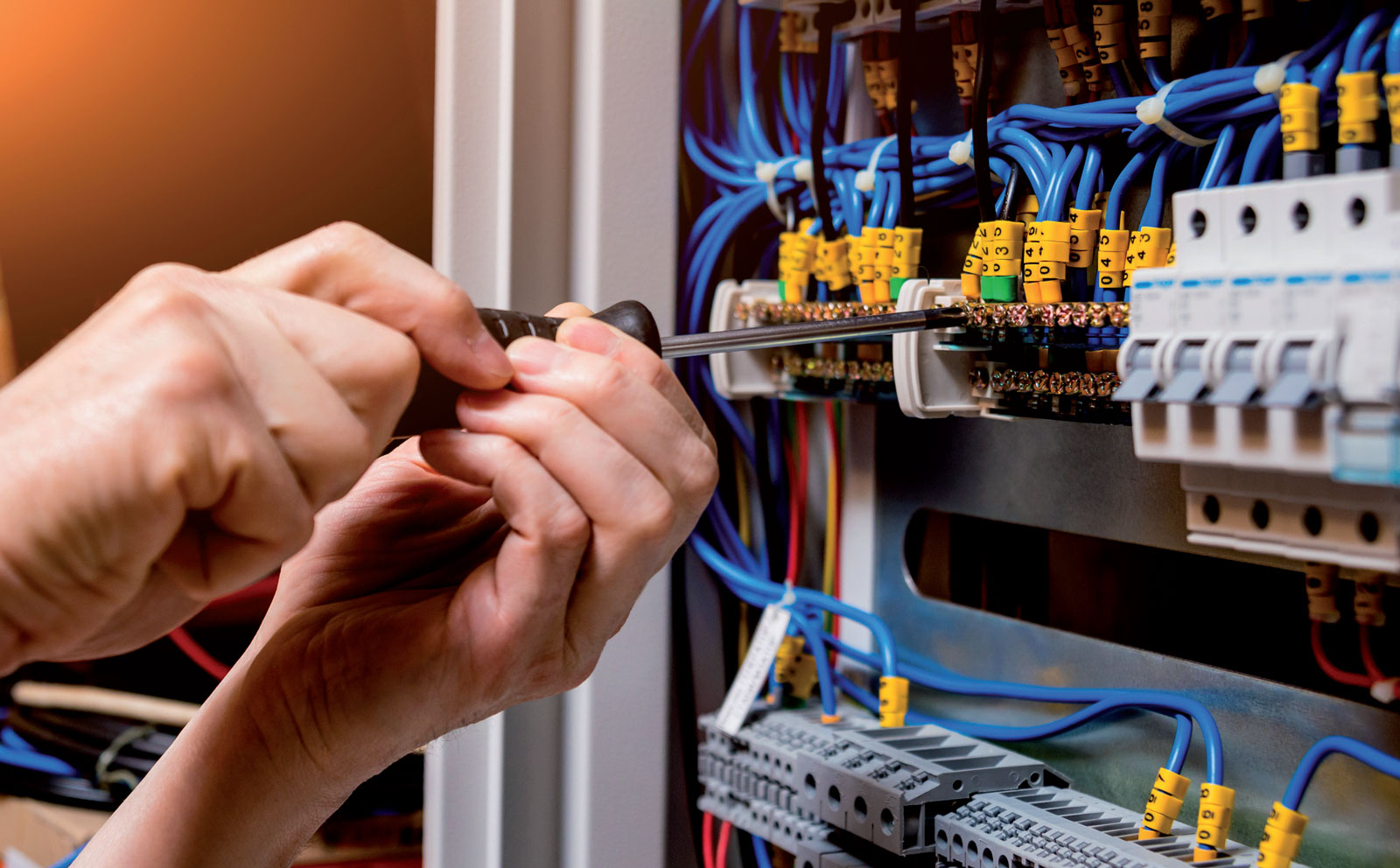 grupowanie przewodow2 Fot. ADOBESTOCK