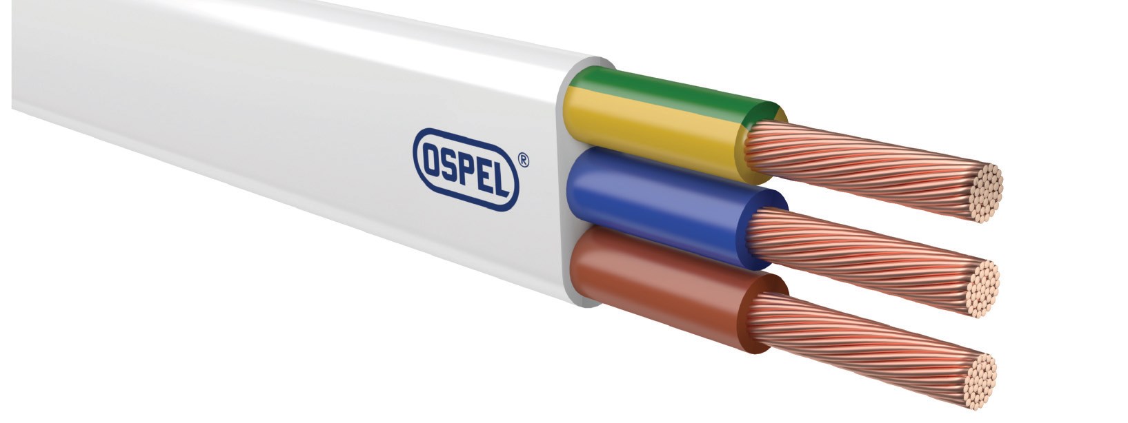 Przewody oponowe mieszkaniowe o izolacji i powłoce polwinitowej płaskie
do odbiorników ruchomych 300/300 V