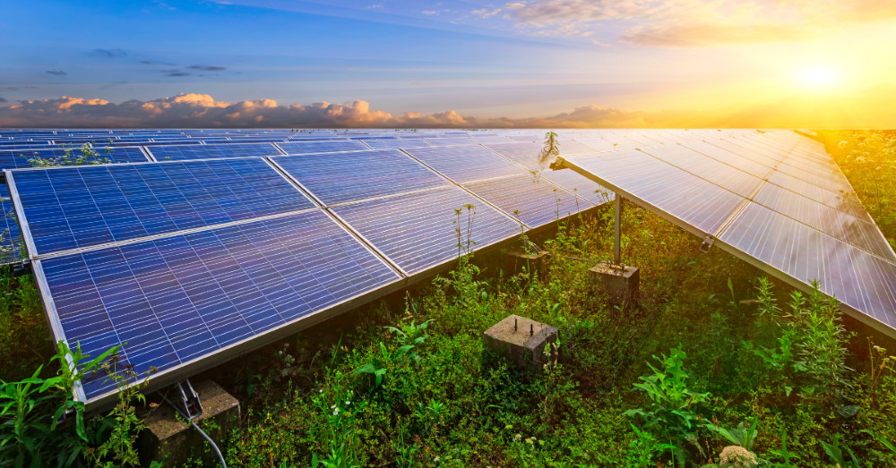 Fotowoltaika na dachu kontra fotowoltaika na gruncie